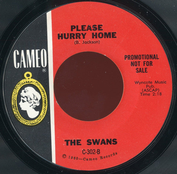 The Swans (2) : The Boy With The Beatle Hair (7", Single, Promo, Styrene)
