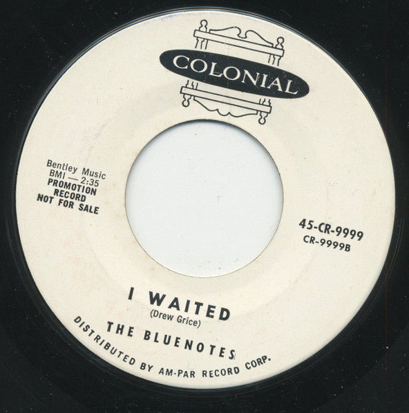 The Bluenotes (3) : Never Never Land (7", Single, Promo)