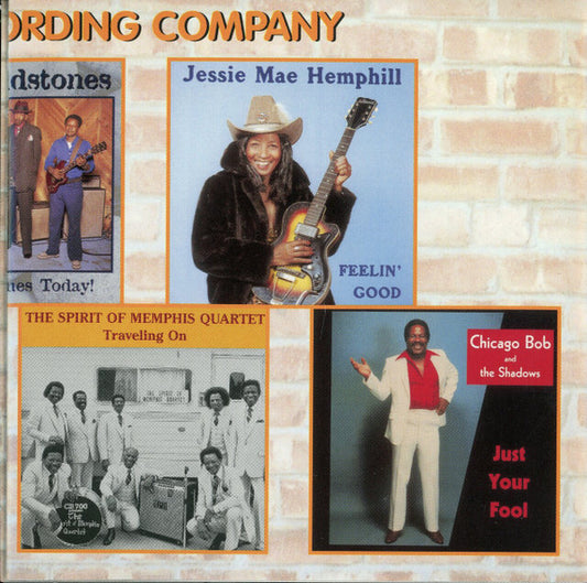 Various : The Fabulous Low-Price HMG Blues Sampler (CD, Comp)