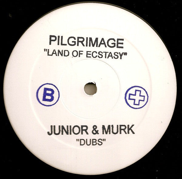 Pilgrimage : Land Of Ecstasy (The Dubs - Funky Green Dogs/Junior Vasquez) (12", Promo, W/Lbl)