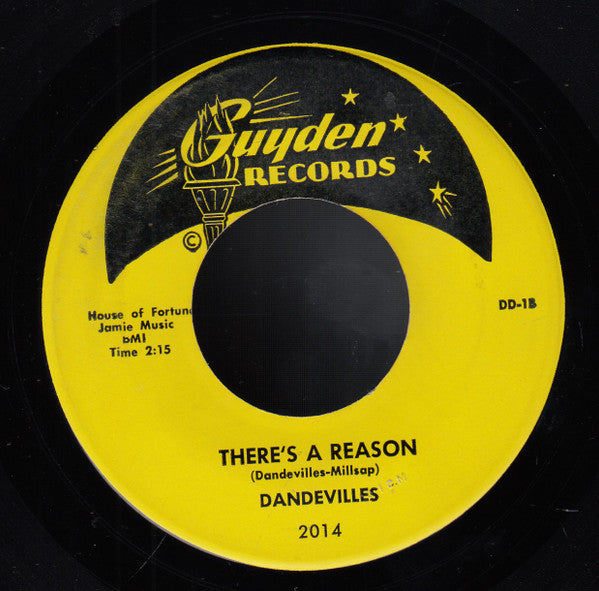 Dandevilles : Nasty Breaks / There's A Reason (7")