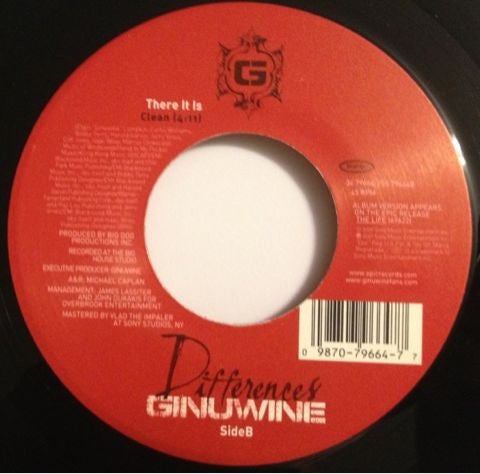 Ginuwine : Differences / There It Is (7", Single)