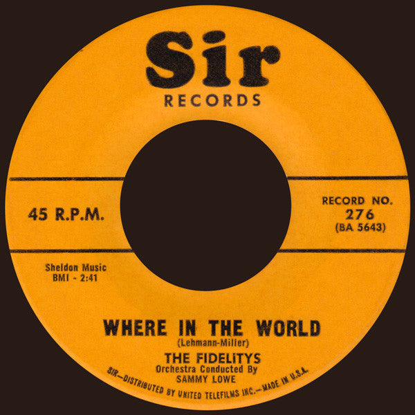 The Fidelity's : (Oh What A Girl) This Girl Of Mine (7", Single)