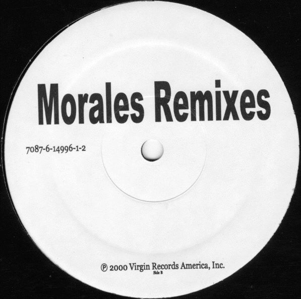 Kelis : Get Along With You (Morales Remixes) (12", Promo)