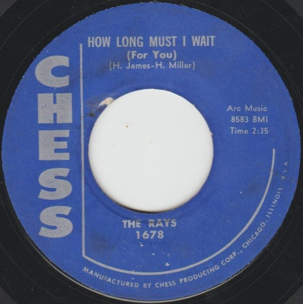 The Rays (2) : Second Fiddle / How Long Must I Wait (For You) (7", Styrene)