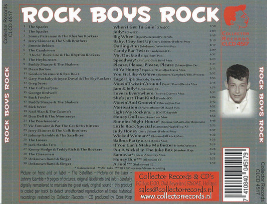Various : Rock Boys Rock (CD, Comp)