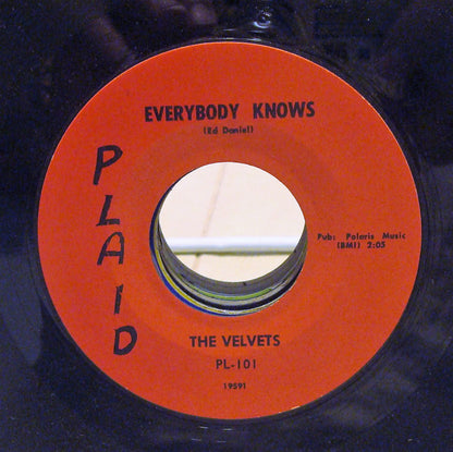 The Velvets (8) : Hand Jivin' Baby (7", Styrene)