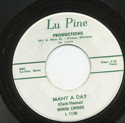 The Minor Chords : Let Her Go Man / Many A Day (7")