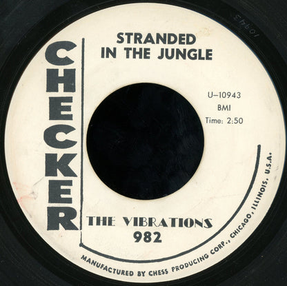 The Vibrations : Don't Say Goodbye / Stranded In The Jungle (7", Promo)