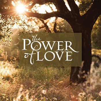 Various : The Power Of Love - Truly (CD, Comp)