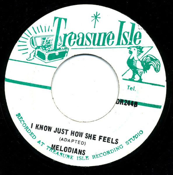 The Melodians : I Caught You (7")