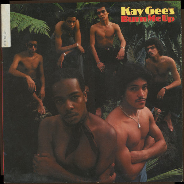 The Kay-Gees : Burn Me Up (LP, Album, 53)