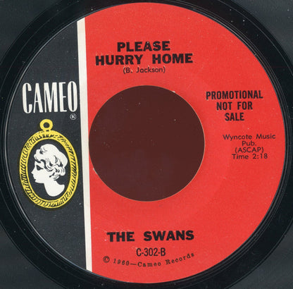 The Swans (2) : The Boy With The Beatle Hair (7", Single, Promo, Styrene)