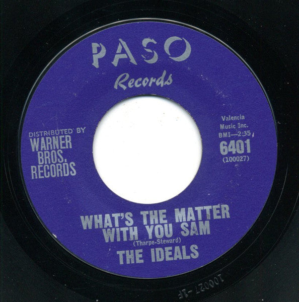 The Ideals : What's The Matter With You Sam (7", Styrene)