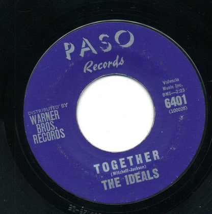 The Ideals : What's The Matter With You Sam (7", Styrene)