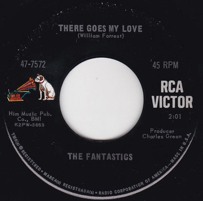 The Fantastics (5) : I Wanna Be A Millionaire Hobo / There Goes My Love (7", RP)