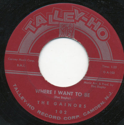 The Gainors : This Is A Perfect Moment / Where I Want To Be (7", Single)