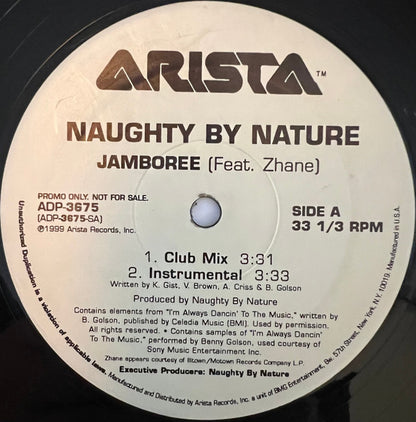 Naughty By Nature Feat. Zhané : Jamboree (12", Promo)
