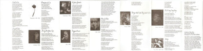 UB40 : Promises And Lies (Cass, Album)