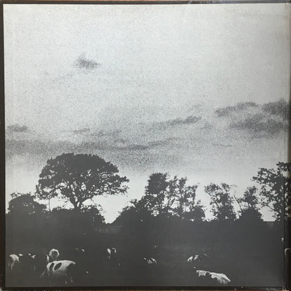 Pink Floyd : Atom Heart Mother (LP, Album, RE, RP, Win)