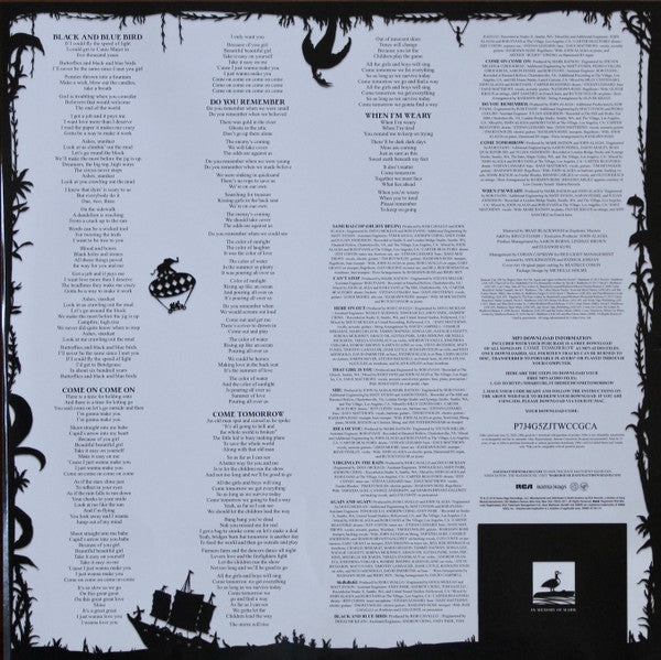Dave Matthews Band : Come Tomorrow (2xLP, Album)