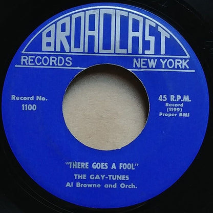 The Gaytunes : There Goes A Fool (7")
