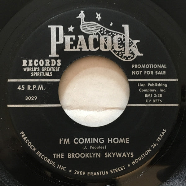 The Brooklyn Skyways : I'm Coming Home / Seeking (7", Promo)