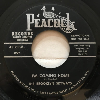 The Brooklyn Skyways : I'm Coming Home / Seeking (7", Promo)