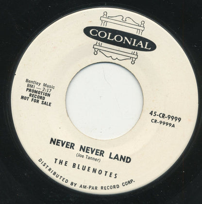 The Bluenotes (3) : Never Never Land (7", Single, Promo)