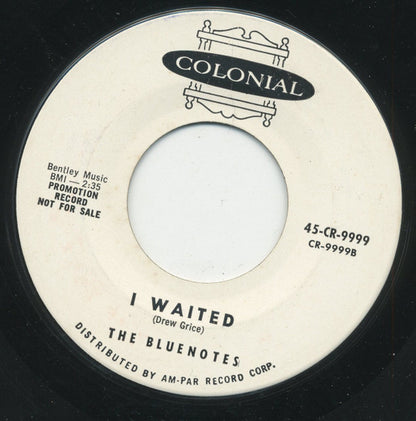 The Bluenotes (3) : Never Never Land (7", Single, Promo)