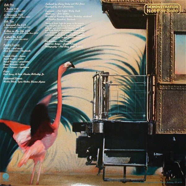 Paradise Express : Paradise Express (LP, Album, Pit)