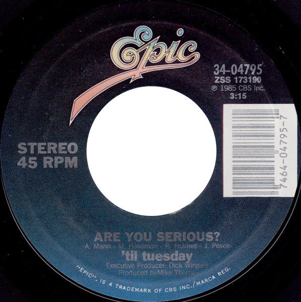 'Til Tuesday : Voices Carry (7", Single, Styrene, Pit)
