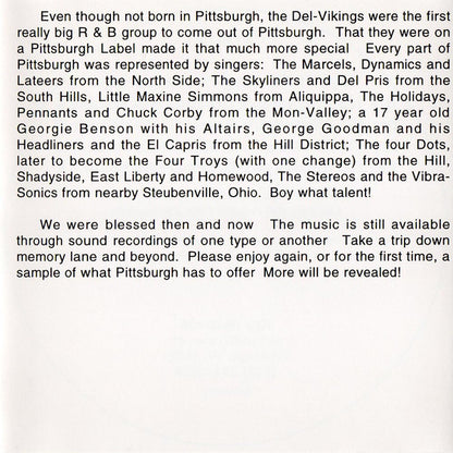 Various : Pittsburgh's Greatest Hits Volume V (CD, Comp)