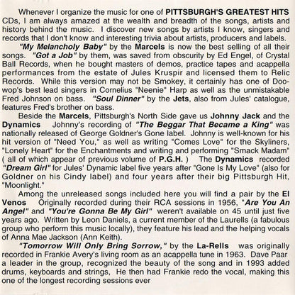 Various : Pittsburgh's Greatest Hits Volume VII (CD, Comp)