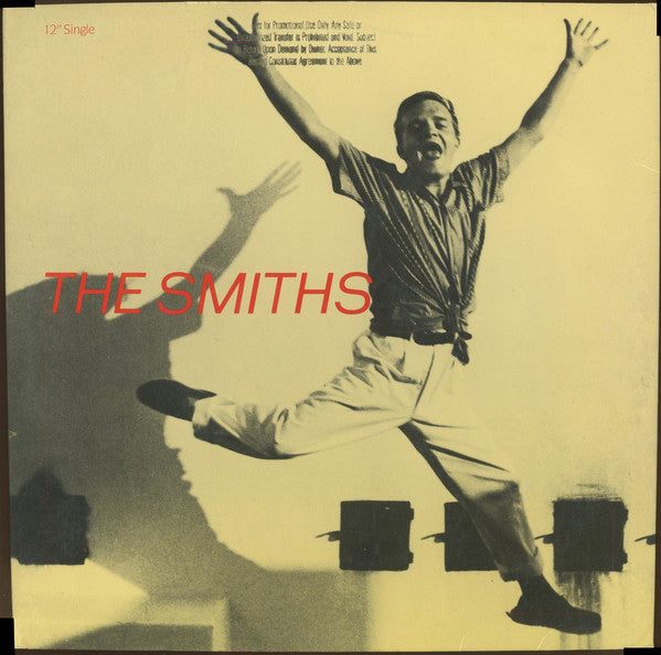 The Smiths : The Boy With The Thorn In His Side (12", Single, All)