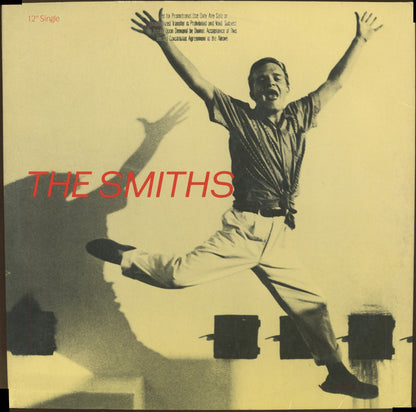 The Smiths : The Boy With The Thorn In His Side (12", Single, All)