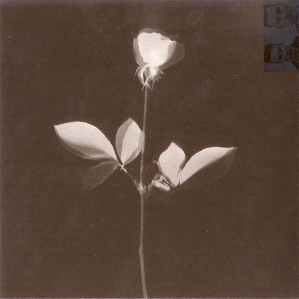 Depeche Mode : Violator (CD, Album, Club)