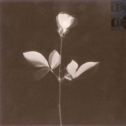 Depeche Mode : Violator (CD, Album, Club)