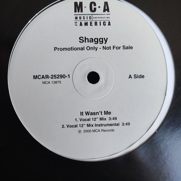 Shaggy : It Wasn't Me (12", Promo)