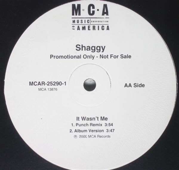 Shaggy : It Wasn't Me (12", Promo)