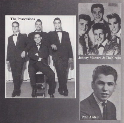 Various : CamPark Records Vol. 6 - The Vocal Groups (CD, Comp)