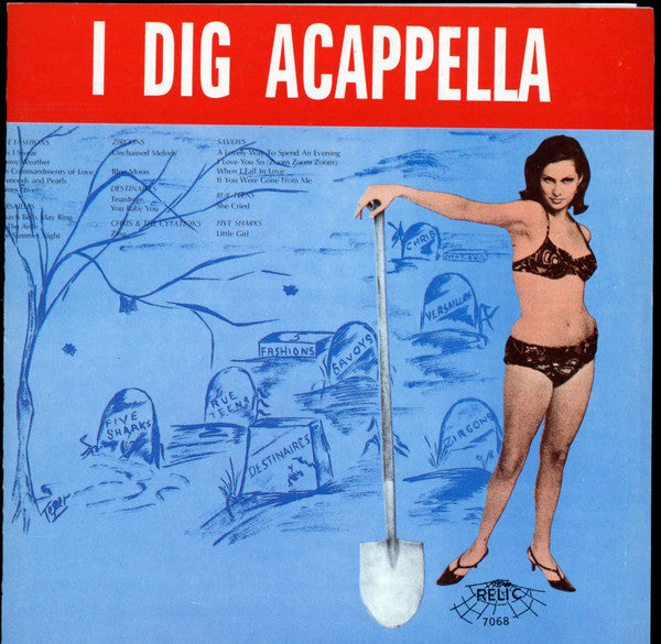 Various : I Dig Acappella, Vol.1 (CD, Album, RE)