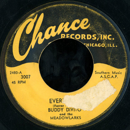 Buddy DiVito And The Meadowlarks (5) : Everytime / Dream Time (7")