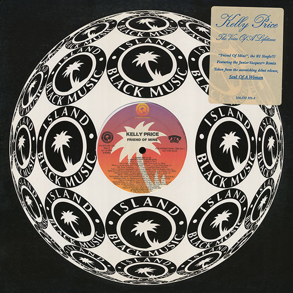 Kelly Price : Friend Of Mine (12", Promo)