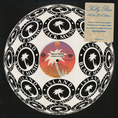 Kelly Price : Friend Of Mine (12", Promo)