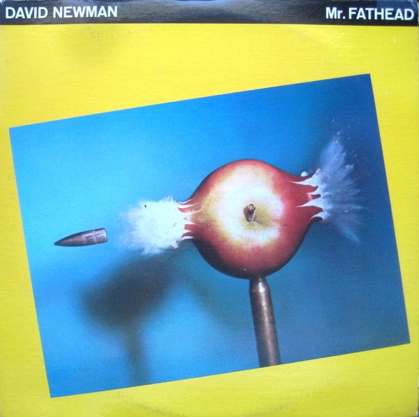 David "Fathead" Newman : Mr. Fathead (LP, Album, San)