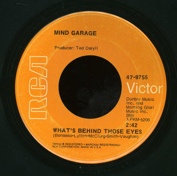 Mind Garage (2) : What's Behind Those Eyes (7", Roc)