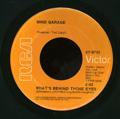 Mind Garage (2) : What's Behind Those Eyes (7", Roc)