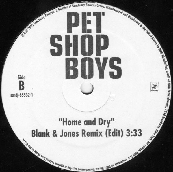 Pet Shop Boys : Home And Dry (12", Promo)