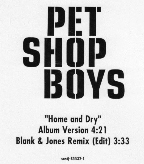 Pet Shop Boys : Home And Dry (12", Promo)